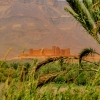 Zdjęcie z Maroka - urocza, bardzo malowniczo położona XVI-wieczna kazba Tamnougalt