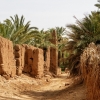 Zdjęcie z Maroka - spacer po gorącej oazie