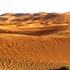 Zdjęcie z Maroka - Sahara w pełnej krasie....