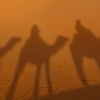 Zdjęcie z Maroka - w pustyni i w piachu :)
