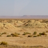 Zdjęcie z Maroka - jakie pole - takie kretowiska :) 