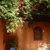 Zdjęcie z Maroka - pora pożegnać się z tym urokliwym miejscem