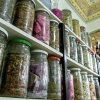 Zdjęcie z Maroka - w zielarnio-aptekarni :)