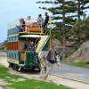 Zdjęcie z Australii - Konny tramwaj kursujacy pomiedzy