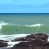 Zdjęcie z Australii - Czarne powulkaniczne skaly