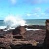 Zdjęcie z Australii - Powulkaniczne skaly