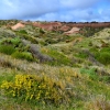Zdjęcie z Australii - Formacje skalne rezerwatu