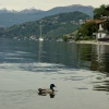 Zdjęcie z Włoch - Widok na jezioro z miasteczka Porto Valtravaglia