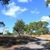 Zdjęcie z Australii - Tangari Regional Park