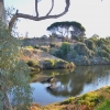 Zdjęcie z Australii - Rzeka Onkaparinga w Old Noarlunga