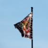 Zdjęcie z Czech - nad Hradczanami powiewa prezydencka flaga