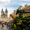 Zdjęcie z Czech - idziemy do serca staromiejskiej Pragi