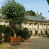 Zdjęcie z Niemiec - pałacowa Palmiarnia