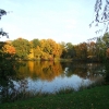 Zdjęcie z Polski - jesień idzie przez park
