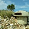 Zdjęcie z Albanii - a Albanii nie trudno spotkać grzybkowate bukry
