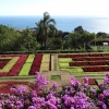Zdjęcie z Portugalii - W ogrodzie botanicznym...