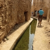 Zdjęcie z Omanu - faladża w wiosce Birkat Al Mouz