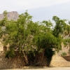 Zdjęcie z Omanu - omańskie zakamarki