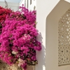 Zdjęcie z Omanu - piękne zakamarki tuż przy Forcie Al Mirani