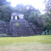 Zdjęcie z Meksyku - Palenque