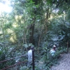 Zdjęcie z Meksyku - schodzimy ścieżką przez dżunglę