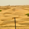 Zdjęcie z Omanu - jeszcze pstryk pustyni mijanej po drodze....