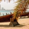 Zdjęcie z Zjednoczonych Emiratów Arabskich - plaża w Abu Dhabi