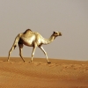 Zdjęcie z Zjednoczonych Emiratów Arabskich - nie ma... nie ma.... wody na pustyni....