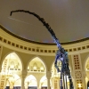 Zdjęcie z Zjednoczonych Emiratów Arabskich - "Dubai Dino" zdobiący jedną z licznych galerii w Dubai Mall