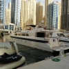 Zdjęcie z Zjednoczonych Emiratów Arabskich - oglądamy sobie takie różne fajne "bryczki" :)