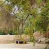 Zdjęcie z Zjednoczonych Emiratów Arabskich - na terenie oazy w Al-Ain