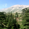 Zdjęcie z Libanu - 