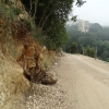 Zdjęcie z Libanu - 