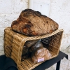 Zdjęcie z Włoch - słynny, wręcz legendarny i ogromny chleb z Matery