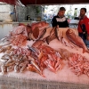 Zdjęcie z Włoch - Słynny targ rybny w Katanii.