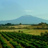 Zdjęcie z Włoch - Podróż z widokiem na Etnę.