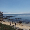 Zdjęcie ze Stanów Zjednoczonych - Dotarliśmy do Monterey