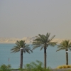 Zdjęcie z Kataru - W oddali pustynia