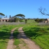 Zdjęcie z Australii - Ruiny Pingle Farm