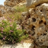 Zdjęcie z Malty - miejsce to zdumiewa jak wyobrazimy sobie wiek tej budowli;