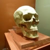 Zdjęcie z Malty - wspaniale zachowana czaszka kobiety z Ġgantija