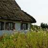 Zdjęcie z Polski - klimaty wsiowe- zdjęcie kolorowe :)