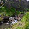 Zdjęcie z Australii - Nad strumieniem Christies Creek