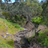 Zdjęcie z Australii - Strumien Christies Creek