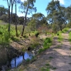 Zdjęcie z Australii - Strumien Christies Creek