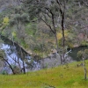 Zdjęcie z Australii - W dole rzeka Warri Parri, zaraz bedziemy do niej schodzic