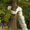 Zdjęcie z Polski - w pałacowym parku jakieś wielkie instalacje uczepiły się drzewa😊 