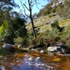 Zdjęcie z Australii - Strumien Stony Creek