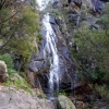 Zdjęcie z Australii - Wodospad Clematis Falls