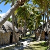 Zdjęcie z Vanuatu - Na tylach bazarku